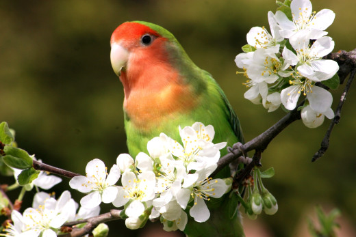 626568 (a): :2700x1800